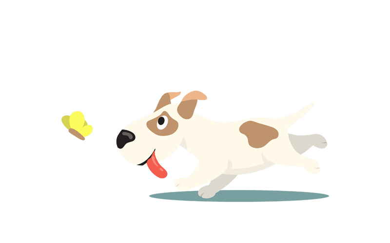 happydog4 happydog4