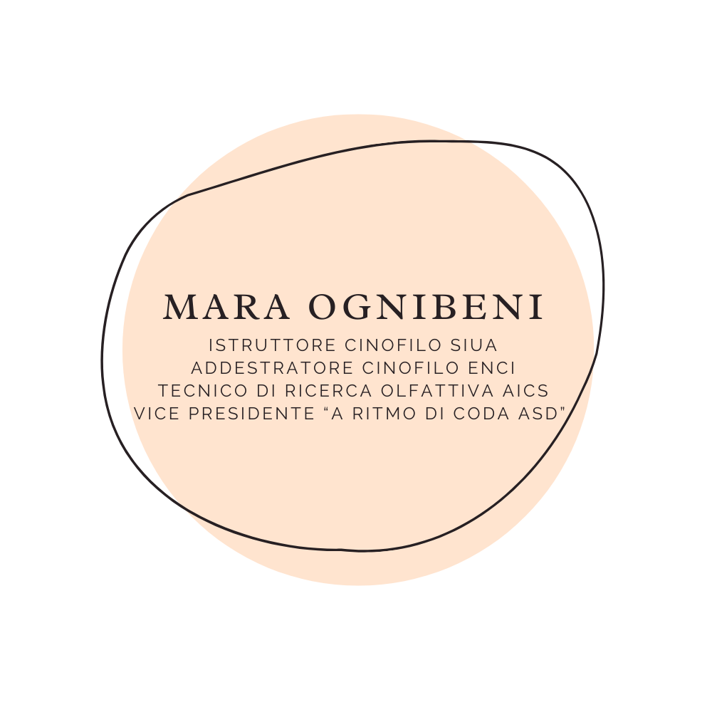 mara-ognibeni-logo mara-ognibeni-logo